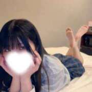 ヒメ日記 2026/07/19 12:00 投稿 とわ 晴れんち