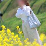 ヒメ日記 2025/04/12 10:44 投稿 あい 夜這専門発情する奥様たち 難波店