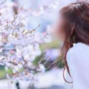 ヒメ日記 2025/04/13 09:44 投稿 あい 夜這専門発情する奥様たち 難波店