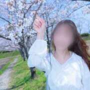 ヒメ日記 2025/04/14 09:34 投稿 あい 夜這専門発情する奥様たち 難波店