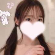 ヒメ日記 2025/04/15 12:29 投稿 樹-ITSUKI- luxury aroma 咲