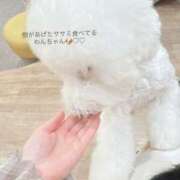 ヒメ日記 2025/04/18 19:15 投稿 樹-ITSUKI- luxury aroma 咲