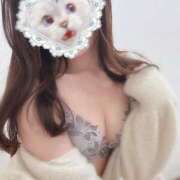 ヒメ日記 2025/04/25 15:29 投稿 樹-ITSUKI- luxury aroma 咲