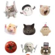 ヒメ日記 2025/04/29 15:26 投稿 樹-ITSUKI- luxury aroma 咲