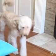 ヒメ日記 2025/05/03 21:02 投稿 樹-ITSUKI- luxury aroma 咲