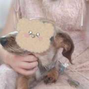 ヒメ日記 2025/05/04 18:06 投稿 樹-ITSUKI- luxury aroma 咲