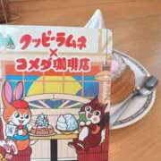 ヒメ日記 2025/06/05 15:35 投稿 樹-ITSUKI- luxury aroma 咲