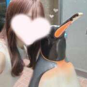 ヒメ日記 2025/06/28 20:30 投稿 樹-ITSUKI- luxury aroma 咲