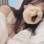 ヒメ日記 2025/08/19 23:15 投稿 樹-ITSUKI- luxury aroma 咲