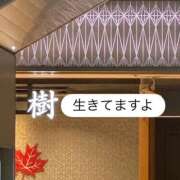 ヒメ日記 2025/09/23 07:01 投稿 樹-ITSUKI- luxury aroma 咲