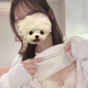 ヒメ日記 2025/09/24 20:02 投稿 樹-ITSUKI- luxury aroma 咲