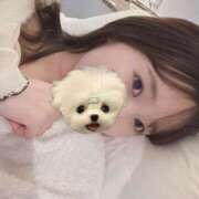 ヒメ日記 2025/10/10 07:01 投稿 樹-ITSUKI- luxury aroma 咲