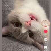 ヒメ日記 2025/10/11 12:16 投稿 樹-ITSUKI- luxury aroma 咲