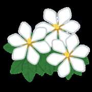 ヒメ日記 2025/03/15 17:45 投稿 もえは 上野ハンドメイド