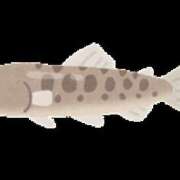 ヒメ日記 2025/05/03 19:46 投稿 もえは 上野ハンドメイド