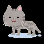 ヒメ日記 2025/06/07 16:54 投稿 もえは 上野ハンドメイド