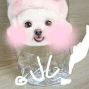 ヒメ日記 2025/11/15 12:44 投稿 もえは 上野ハンドメイド