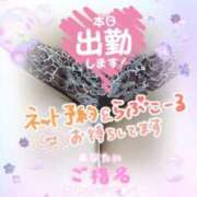 ヒメ日記 2024/06/30 12:20 投稿 いろは 紳士な僕はふんわり彼女の調教師