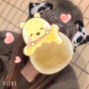 ヒメ日記 2025/01/14 23:10 投稿 三色菫～パンジー～ ドMな奥さん 日本橋店