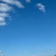 ヒメ日記 2025/03/19 12:30 投稿 三色菫～パンジー～ ドMな奥さん 日本橋店