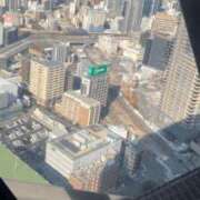 ヒメ日記 2025/03/20 16:30 投稿 三色菫～パンジー～ ドMな奥さん 日本橋店