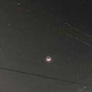 ヒメ日記 2025/04/05 00:07 投稿 三色菫～パンジー～ ドMな奥さん 日本橋店