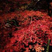 ヒメ日記 2025/10/22 10:30 投稿 なな マドンナ浜松町