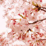 ヒメ日記 2026/03/06 22:00 投稿 なな マドンナ浜松町