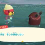 ヒメ日記 2025/03/16 13:16 投稿 夏目あさひ ウルトラブレイズ