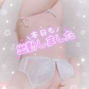 ヒメ日記 2025/03/12 23:18 投稿 れいあ 静岡人妻なでしこ（カサブランカグループ)