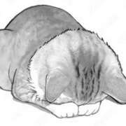 ヒメ日記 2025/05/18 21:32 投稿 れいあ 静岡人妻なでしこ（カサブランカグループ)