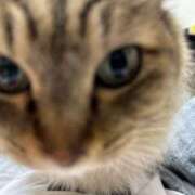 れん～マット＆ヘルス～ ☞すみません アメイジングビル～道後最大級！遊び方無限大∞ヘルス♪～