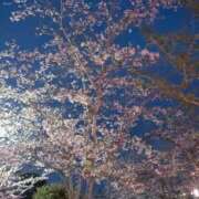 ヒメ日記 2025/04/07 12:00 投稿 新人るり 成田人妻講座