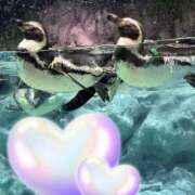 ヒメ日記 2025/01/18 14:48 投稿 ☆かえで☆グランプリ獲得！ 五十路有閑マダム～沖縄店～