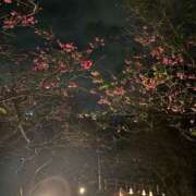 ヒメ日記 2025/01/29 18:19 投稿 ☆かえで☆グランプリ獲得！ 五十路有閑マダム～沖縄店～