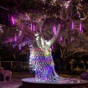 ヒメ日記 2025/02/05 10:39 投稿 ☆かえで☆グランプリ獲得！ 五十路有閑マダム～沖縄店～