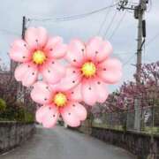 ヒメ日記 2025/02/12 15:48 投稿 ☆かえで☆グランプリ獲得！ 五十路有閑マダム～沖縄店～