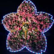 ヒメ日記 2025/02/22 01:48 投稿 ☆かえで☆グランプリ獲得！ 五十路有閑マダム～沖縄店～