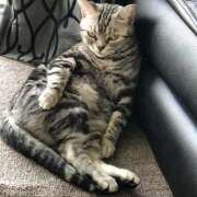 ヒメ日記 2025/03/05 19:49 投稿 ☆かえで☆グランプリ獲得！ 五十路有閑マダム～沖縄店～