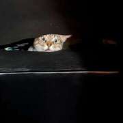 ヒメ日記 2025/03/21 14:57 投稿 ☆かえで☆グランプリ獲得！ 五十路有閑マダム～沖縄店～