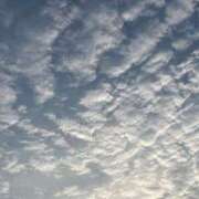 ヒメ日記 2025/05/01 06:33 投稿 ☆かえで☆グランプリ獲得！ 五十路有閑マダム～沖縄店～