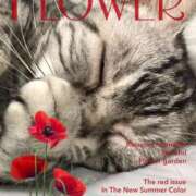 ヒメ日記 2025/05/19 21:42 投稿 ☆かえで☆グランプリ獲得！ 五十路有閑マダム～沖縄店～