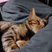 ヒメ日記 2025/03/30 02:52 投稿 渋谷あん 鬼イカセてくれないドス◯ベお姉さん