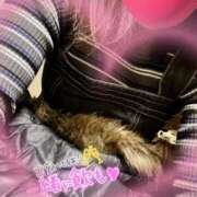 ヒメ日記 2025/01/07 09:24 投稿 まこ 妻天 日本橋店