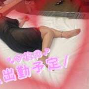 ヒメ日記 2025/02/13 20:02 投稿 まこ 妻天 日本橋店