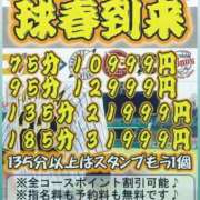 ヒメ日記 2025/03/01 10:30 投稿 まこ 妻天 日本橋店