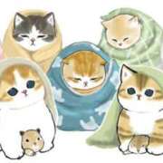 ヒメ日記 2025/07/06 18:08 投稿 まこ 妻天 日本橋店