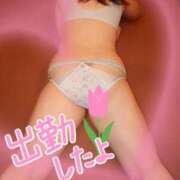 ヒメ日記 2025/07/26 09:15 投稿 まこ 妻天 日本橋店