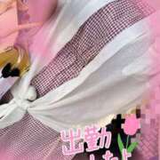 ヒメ日記 2025/09/06 09:15 投稿 まこ 妻天 日本橋店