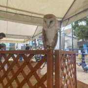 ヒメ日記 2025/10/13 14:05 投稿 まこ 妻天 日本橋店